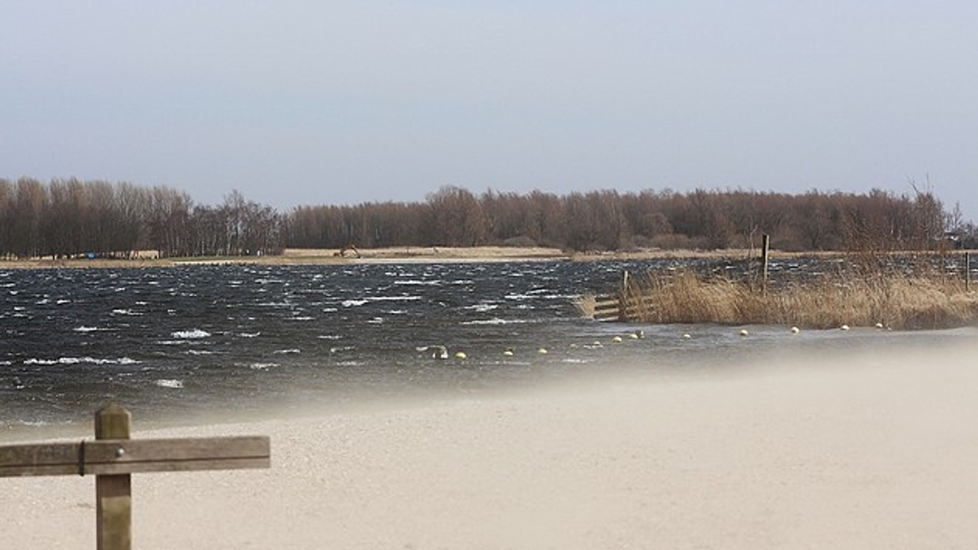 strandje.jpg