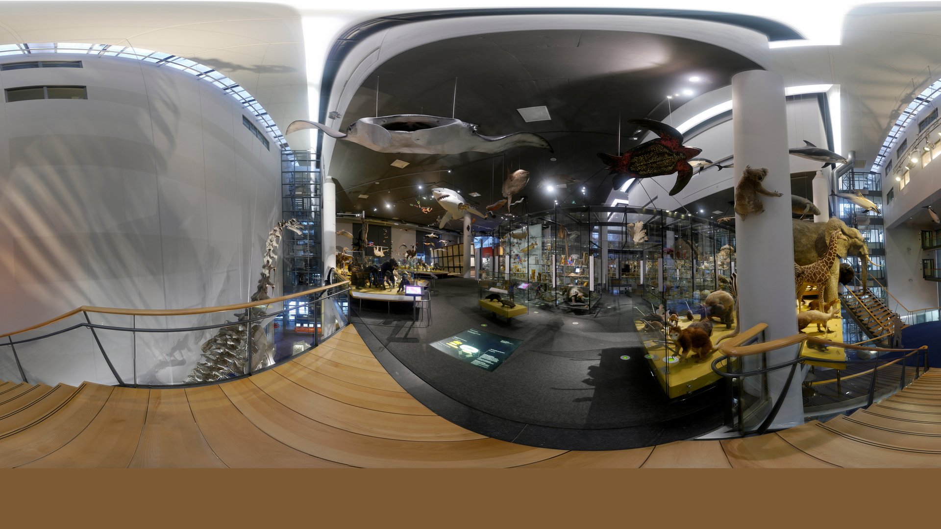 Afb-1_Google-Street-View-beeld-van-Natuurtheater.jpg
