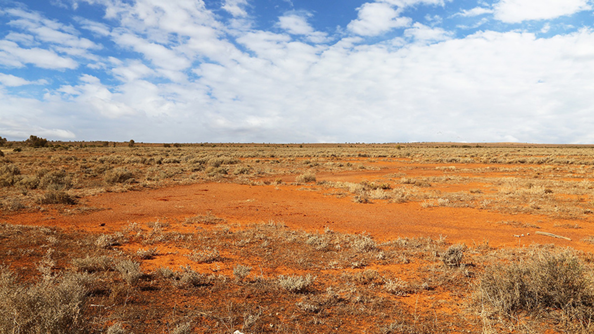 Woestijn Australie
