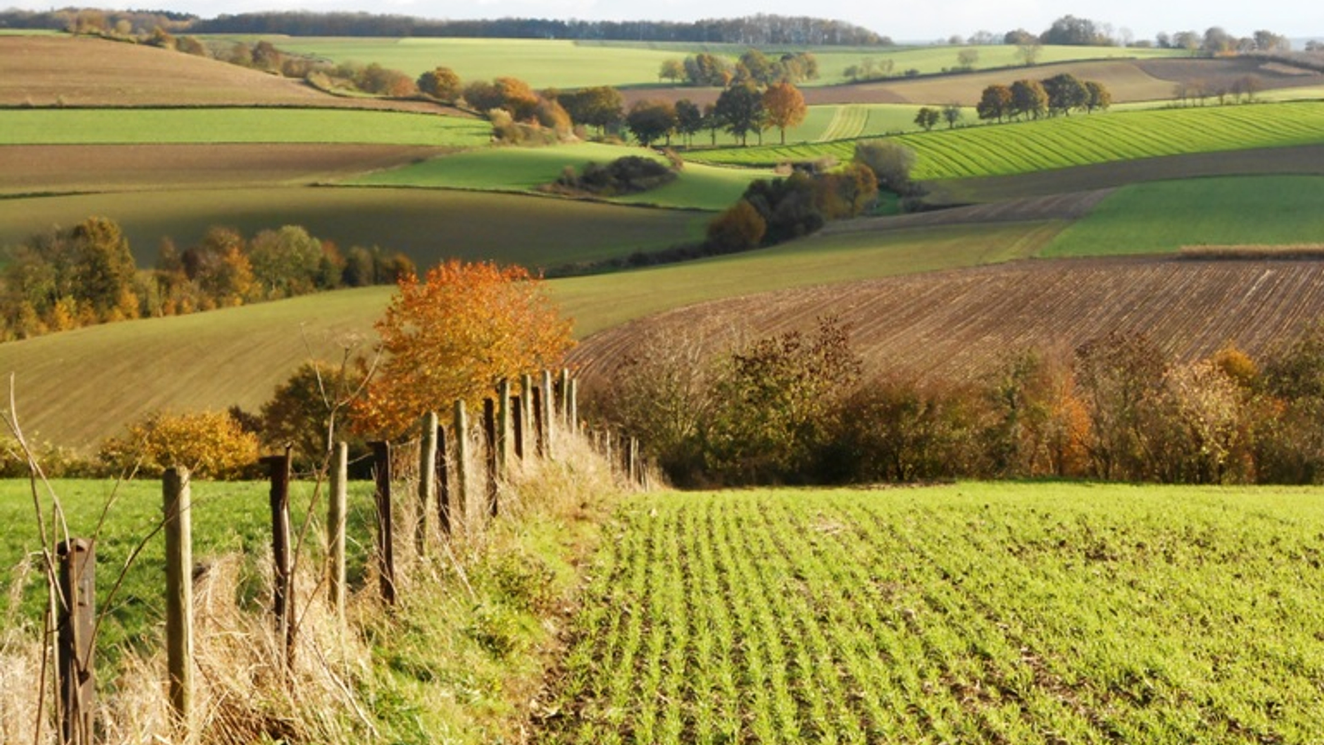 limburg_zuid.jpg