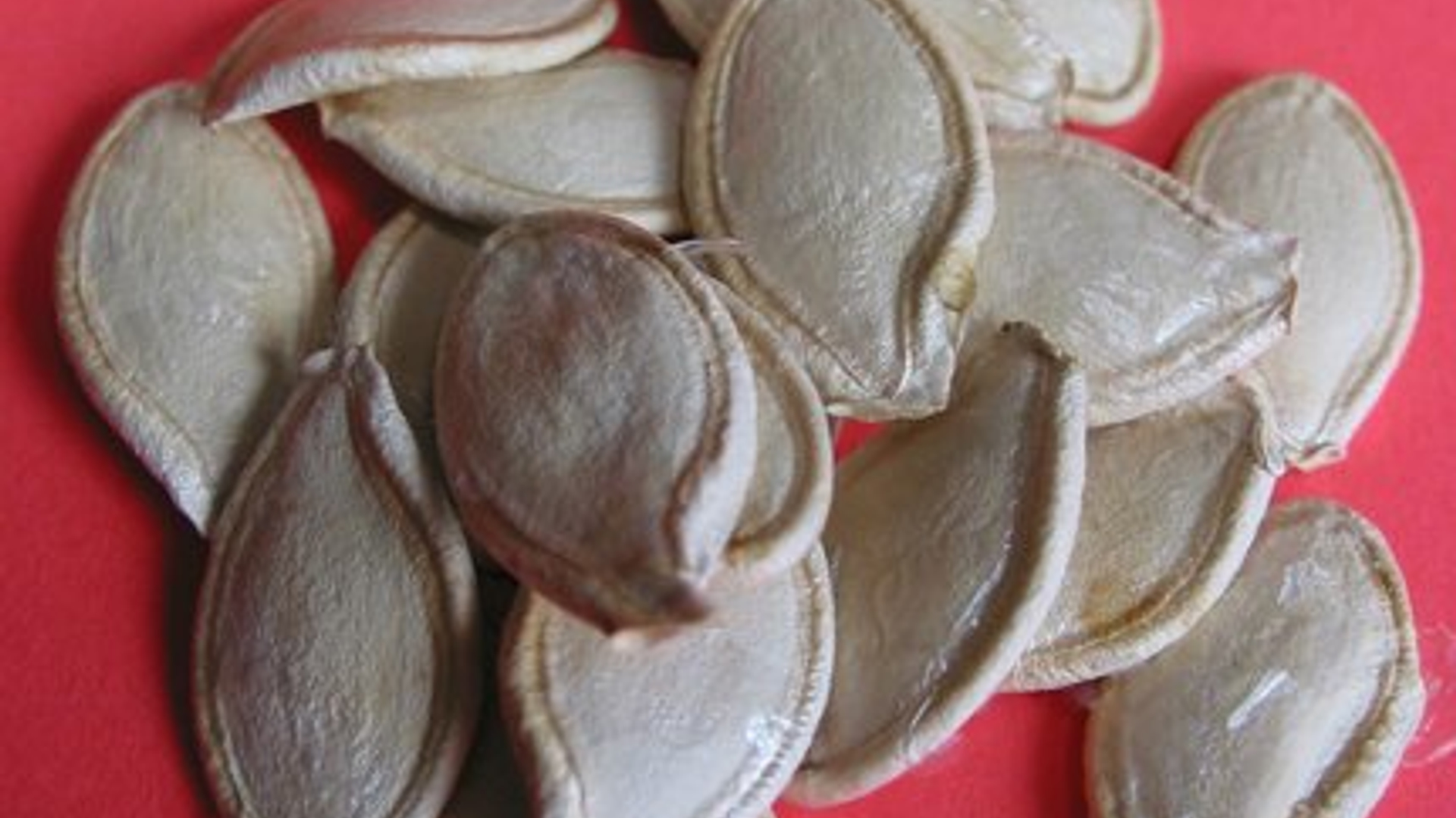 squash-seeds-1197115.jpg