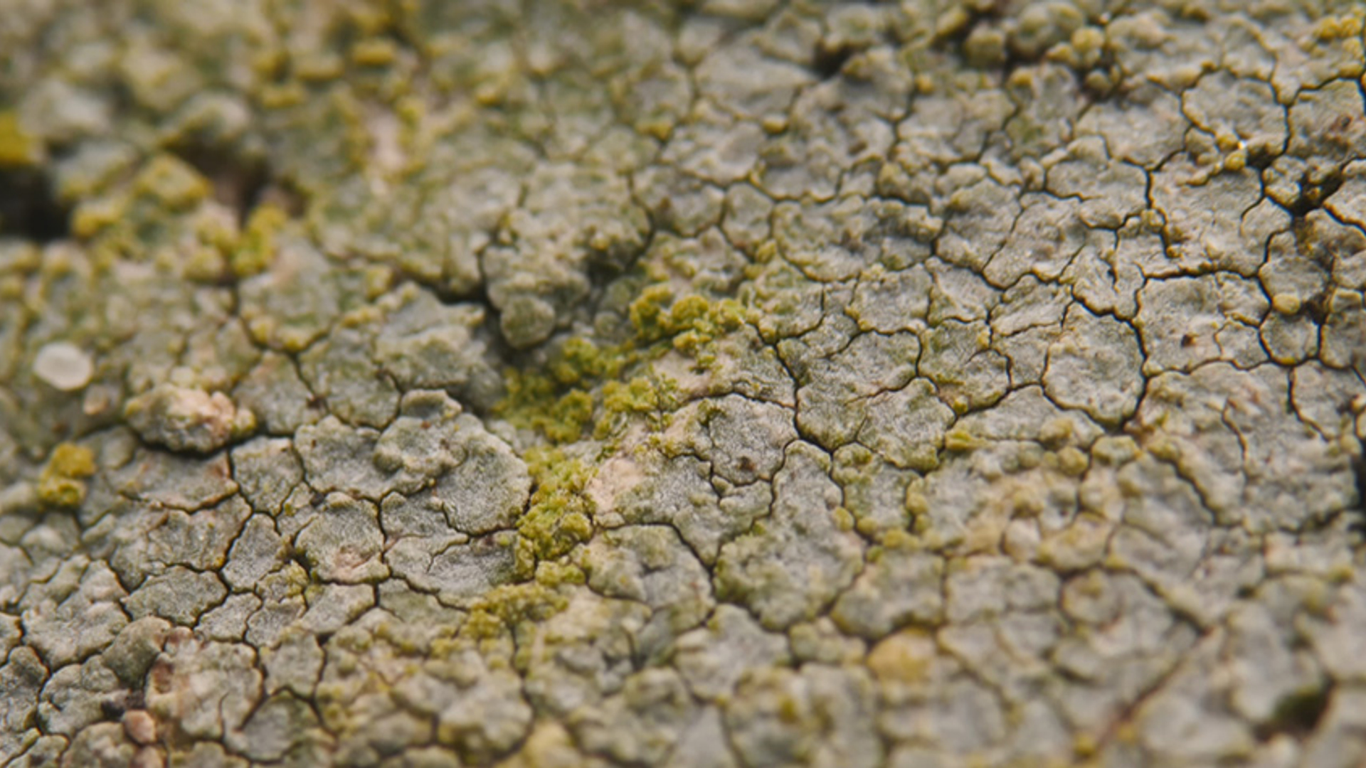 VV Aflevering 22 DFW_frame_46247