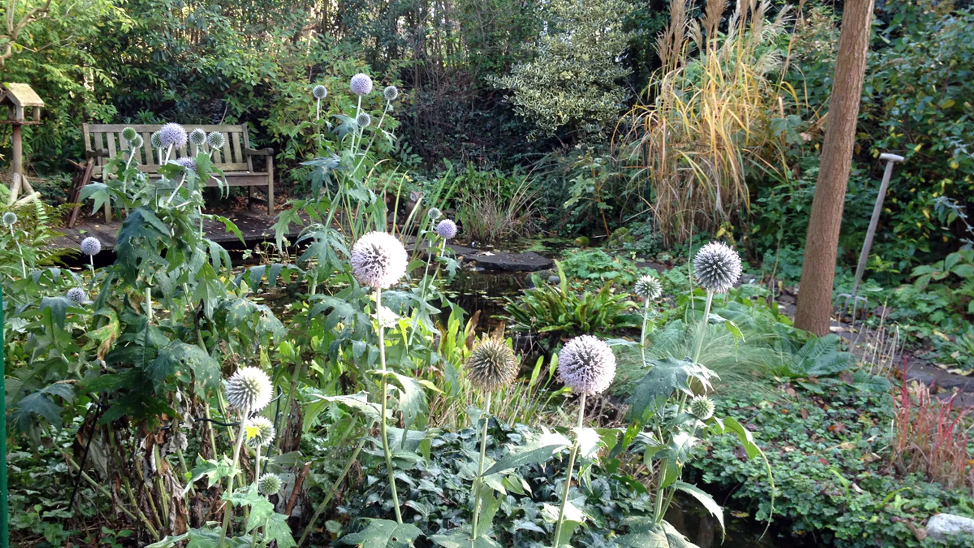 Staringtuin_herfst.jpg