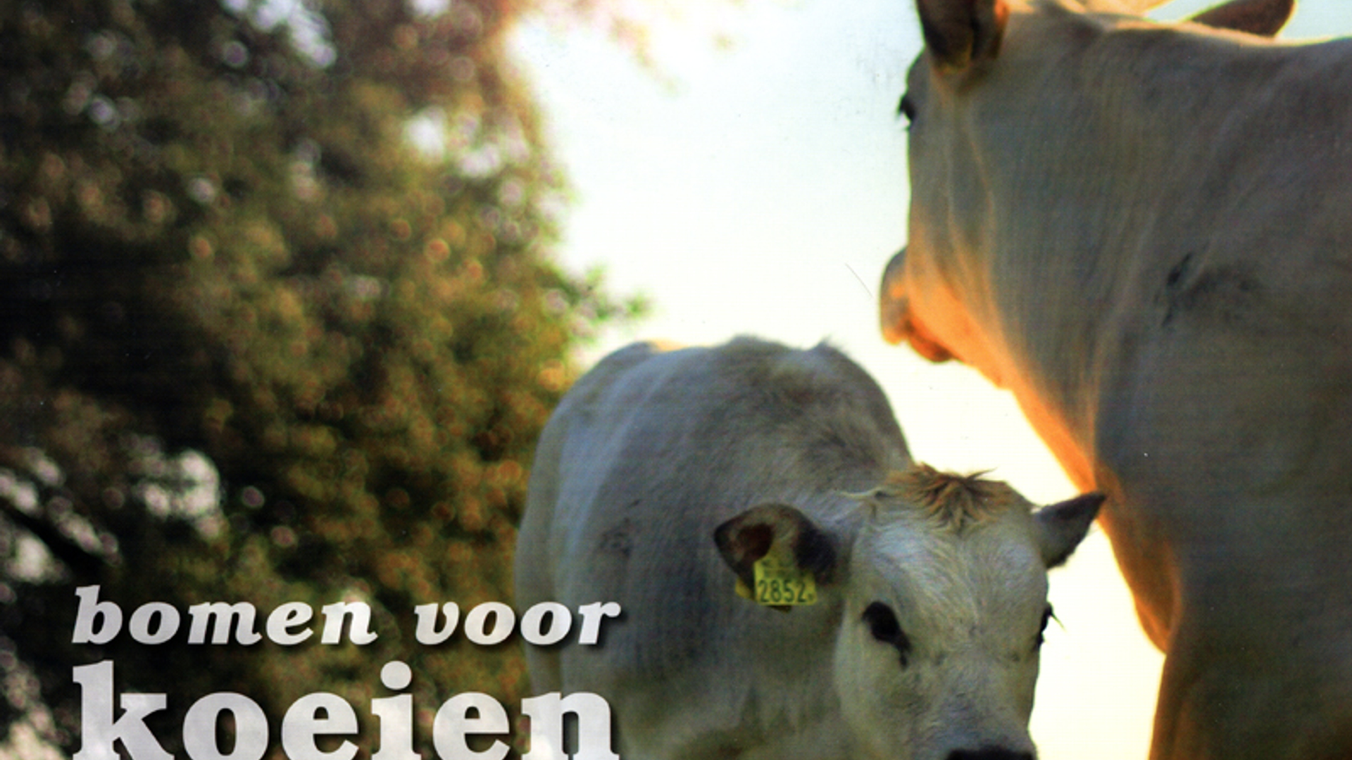 Bomen_voor_Koeien_01.JPG