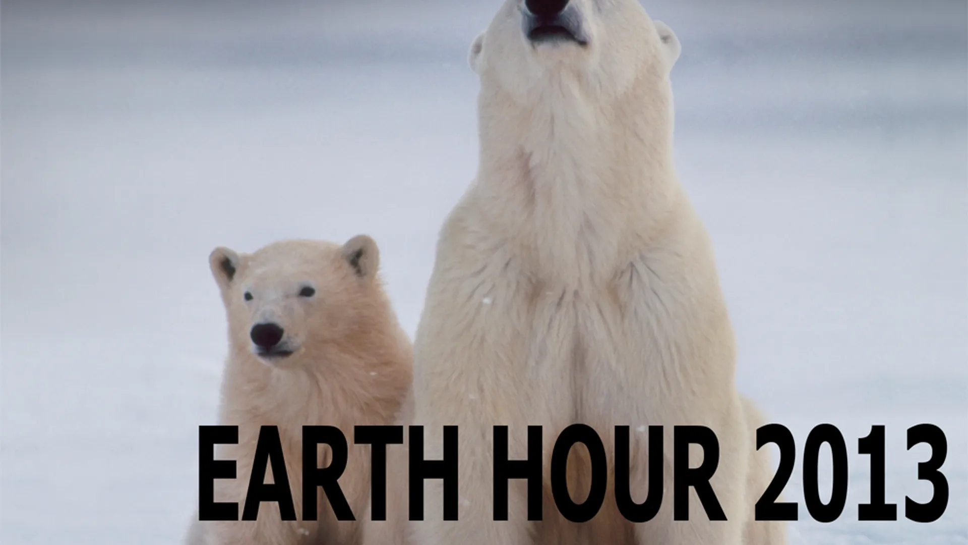 Earth_Hour_03.jpg