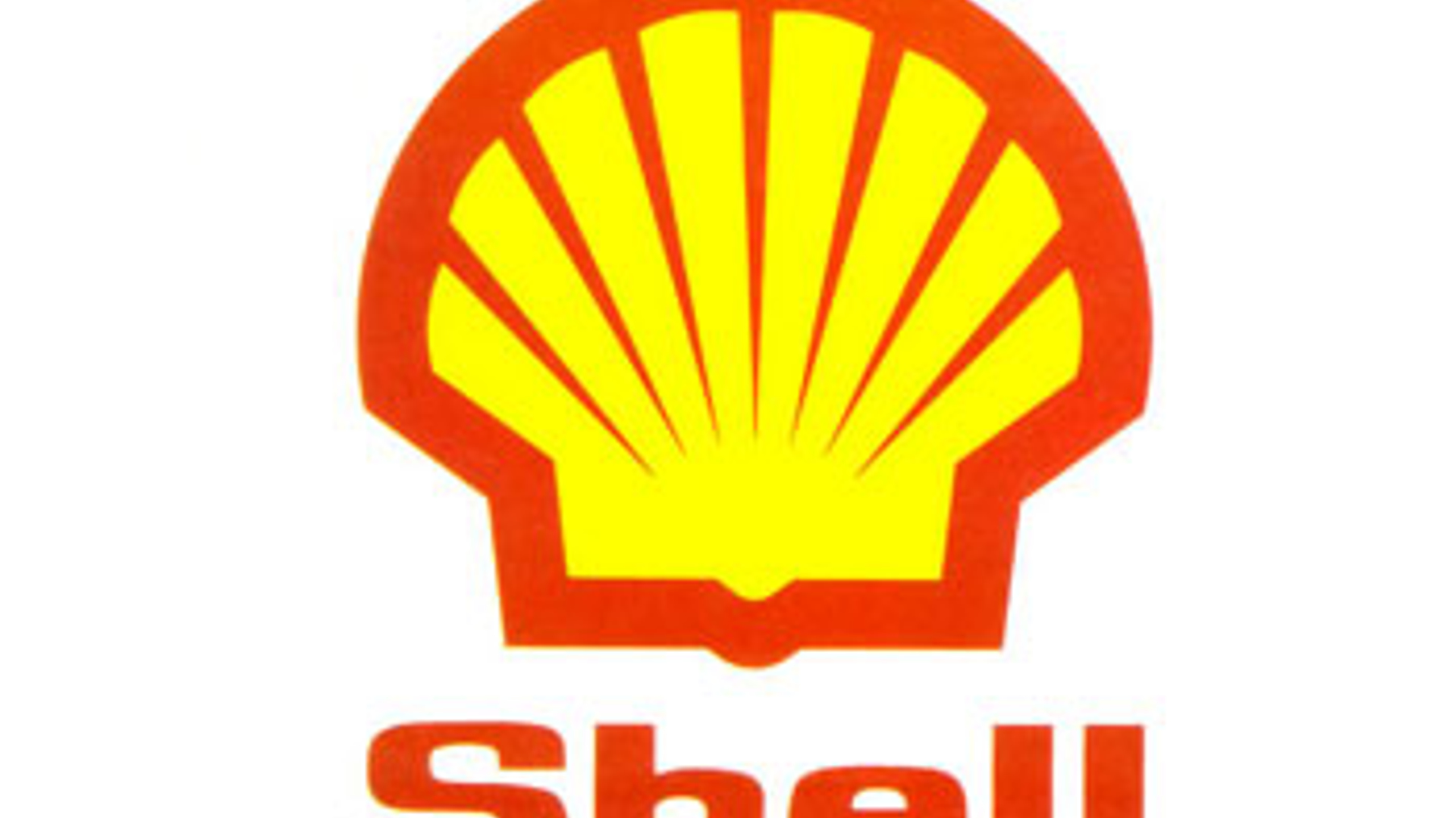 shell_01.jpg
