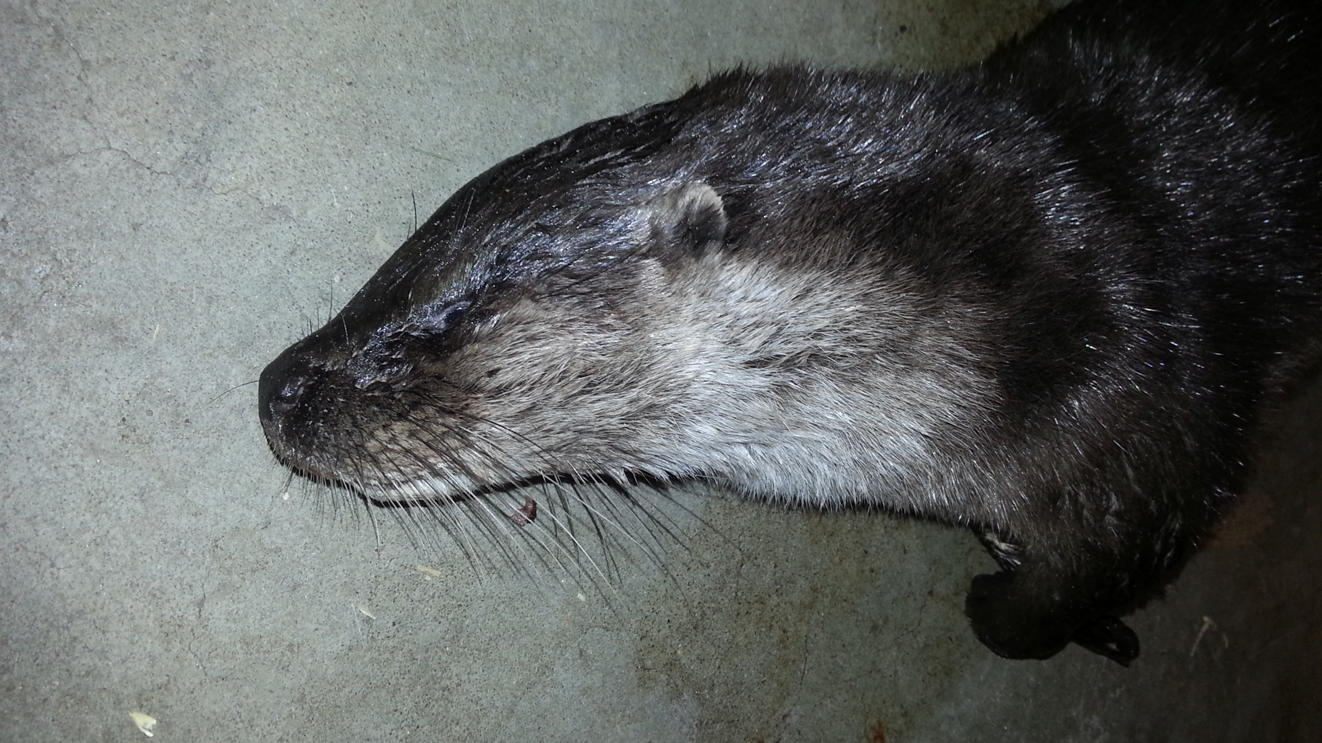 20140212_173255.jpg