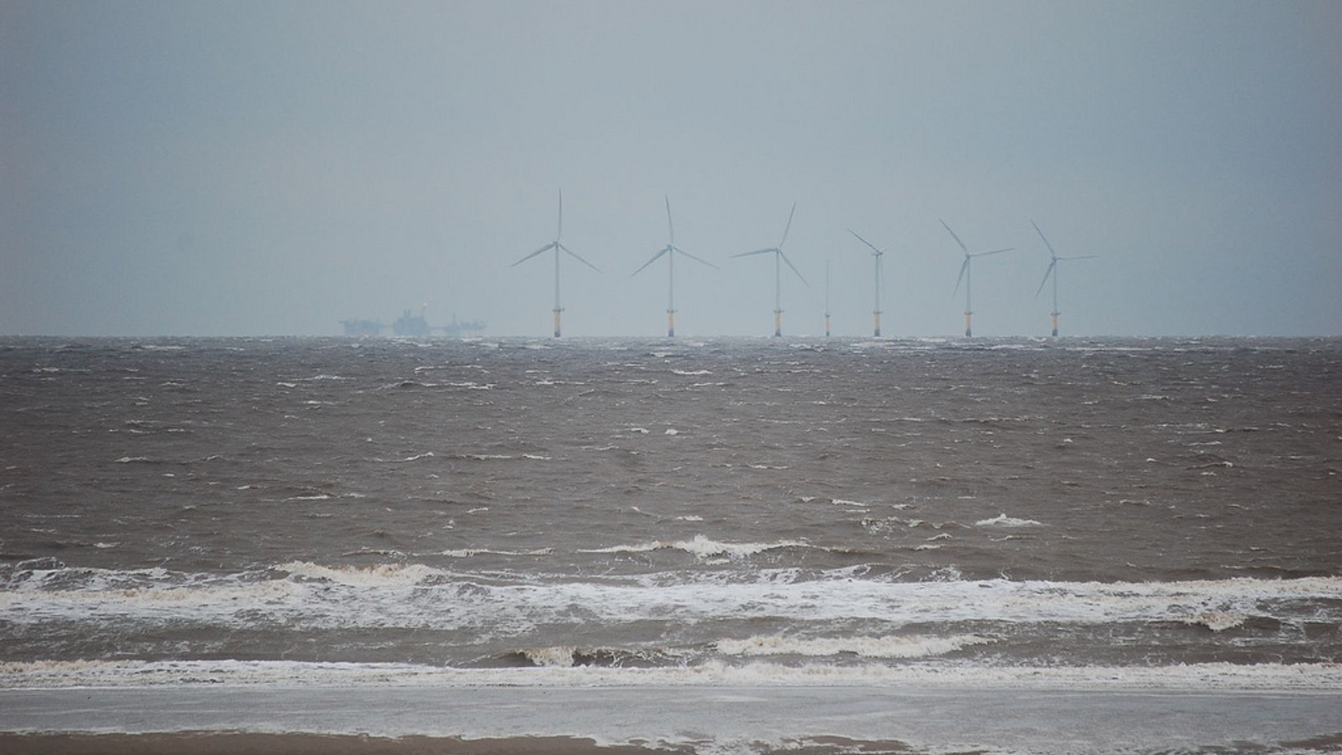 windmolenparknoordzee.jpg