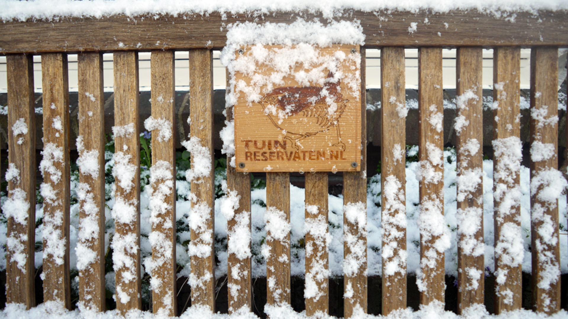 winters_tuinreservaat_verkleind.jpg