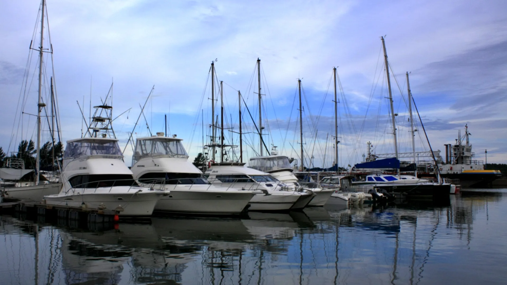 harbor.jpg