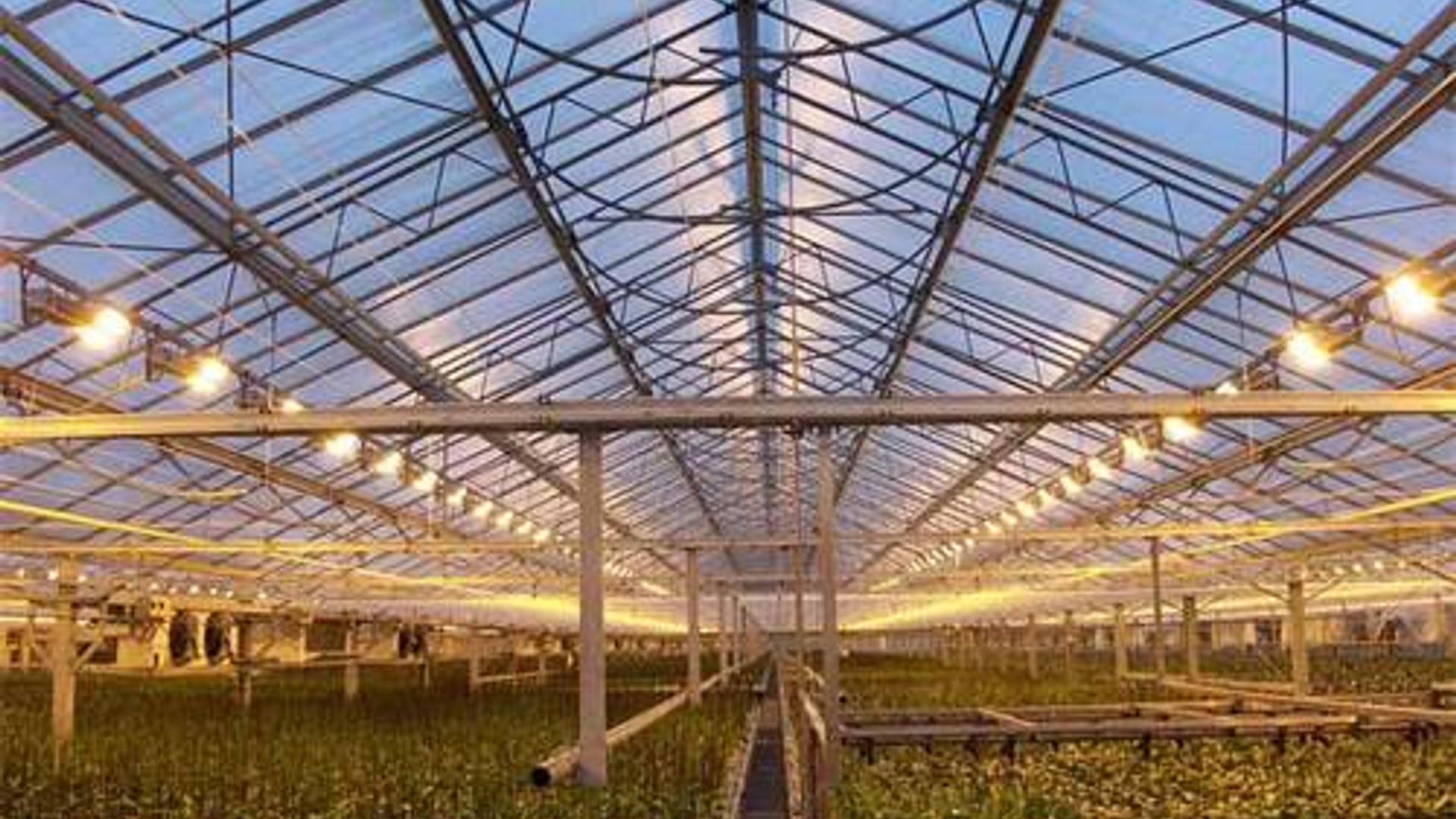 glastuinbouw.jpg