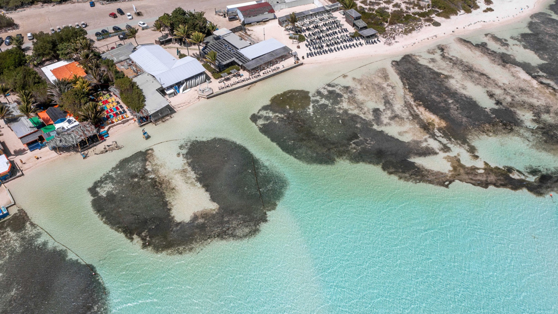 Olie voor de kust van Bonaire (Bron: Casper Douma - WWF)