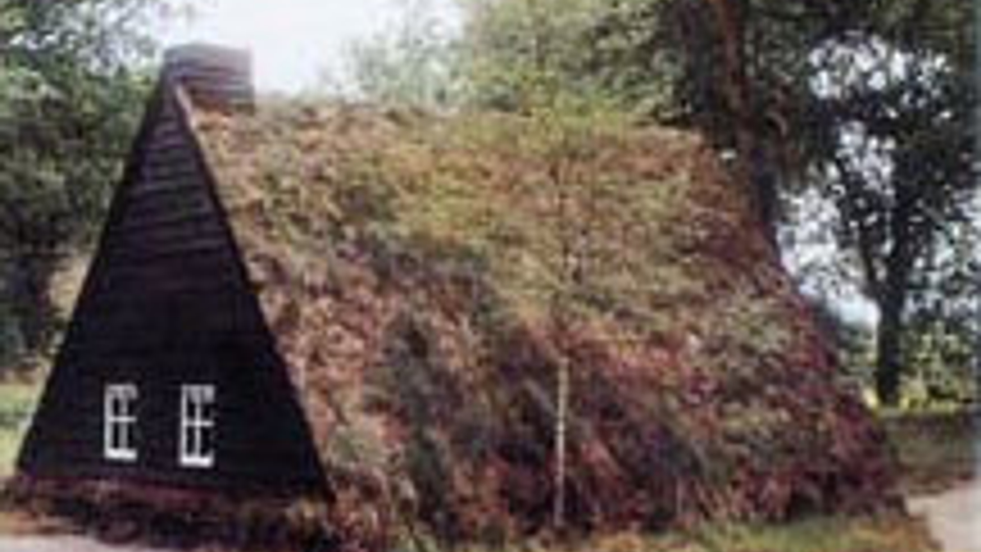 vv_newsimg_111071.jpg