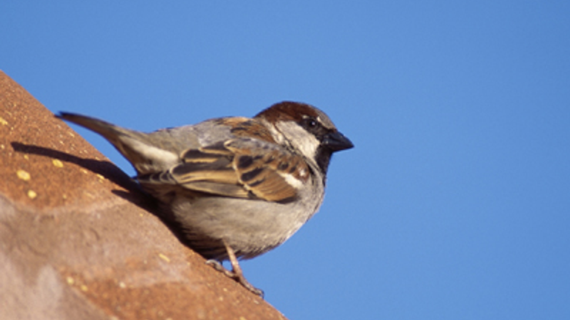 vv_newsimg_165177.jpg