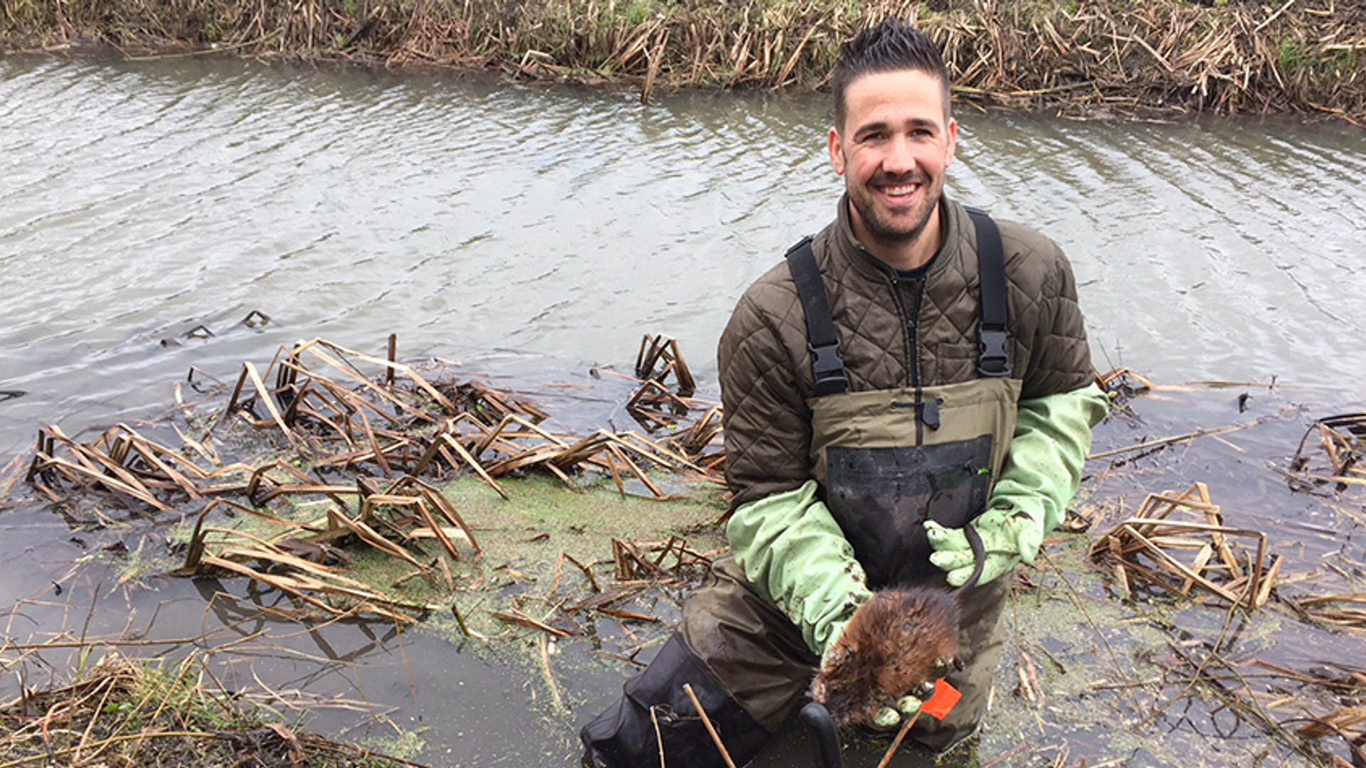 muskusrattenvanger Ferry van der Werf