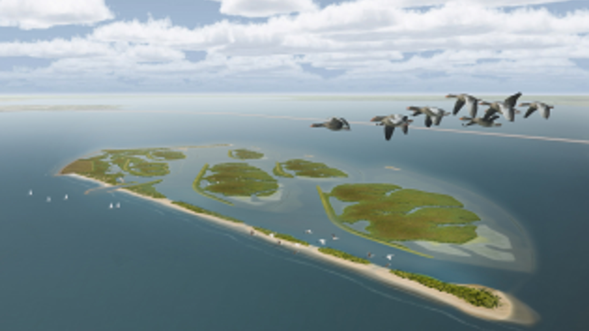 Markerwadden.png