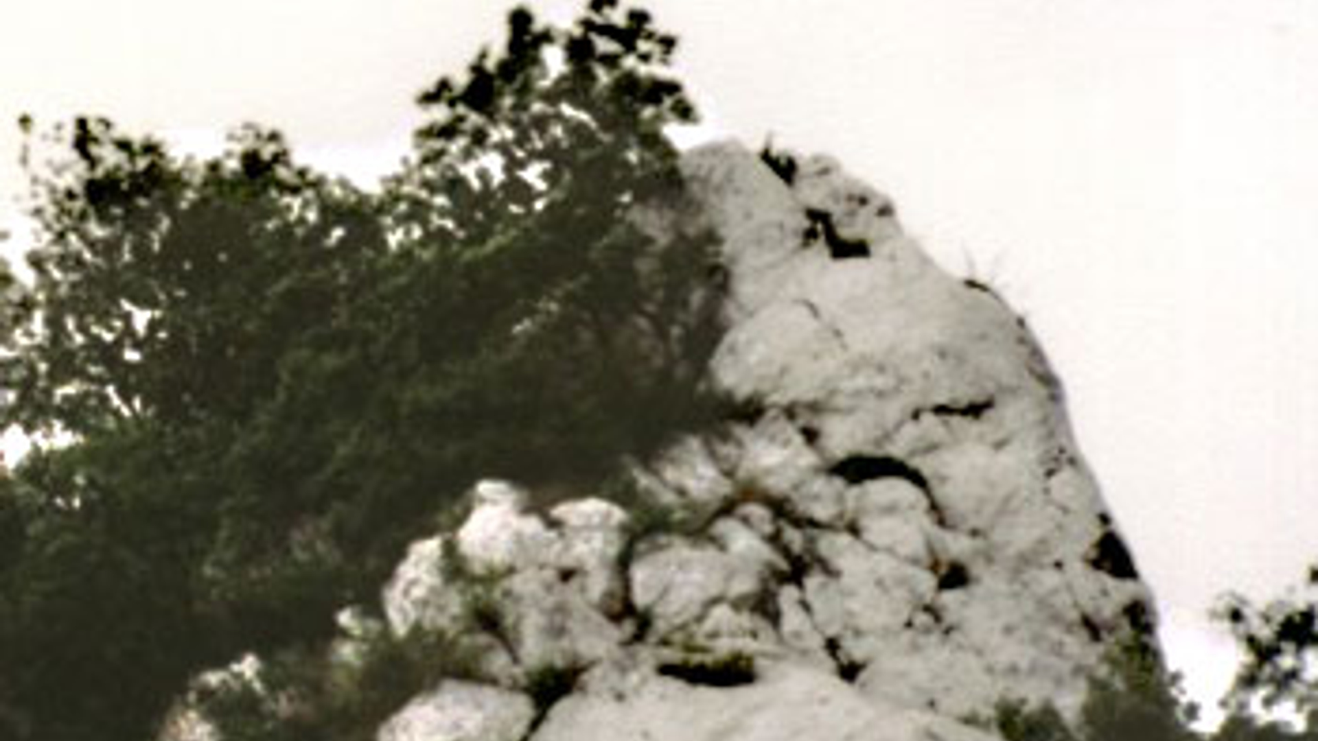 kalksteenheuvel.jpg