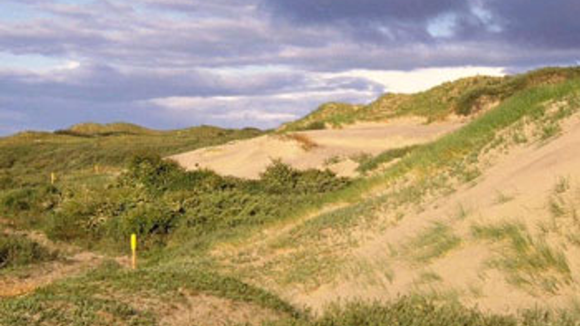 vv_newsimg_105856.jpg