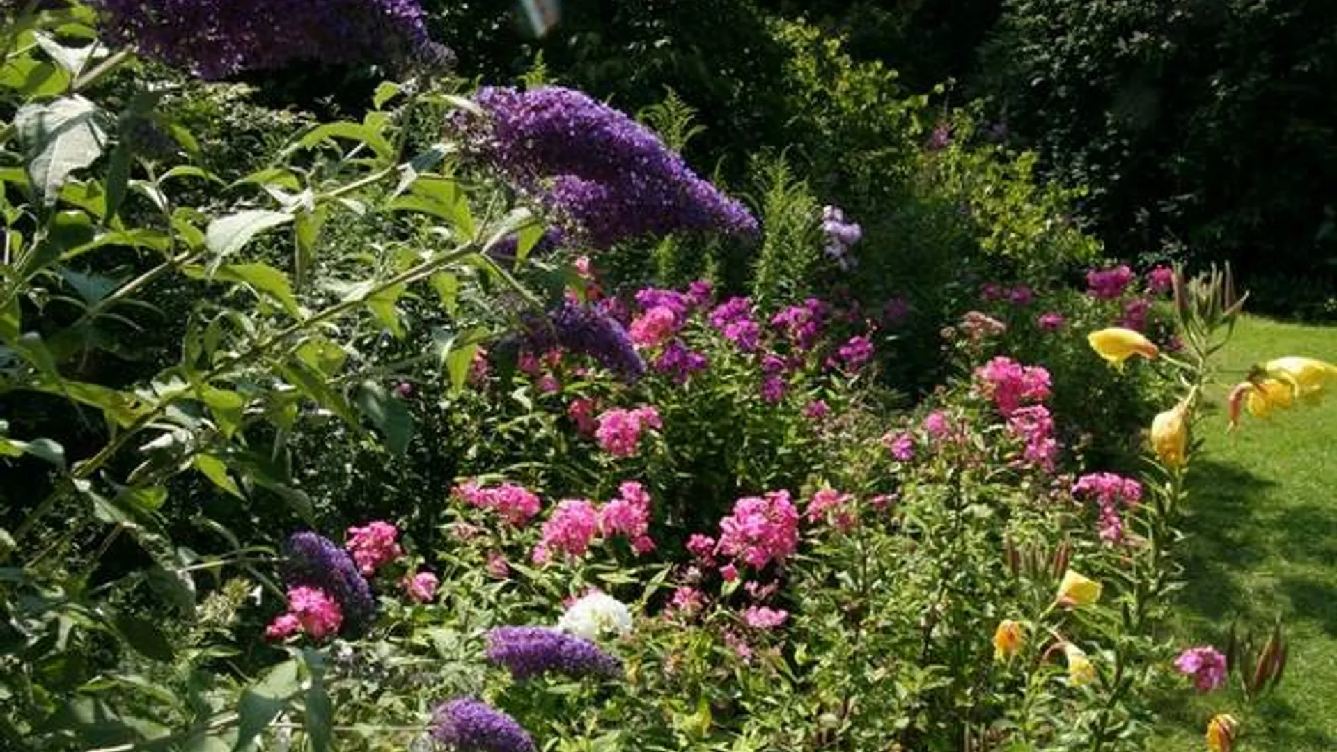 vlindertuin.jpg