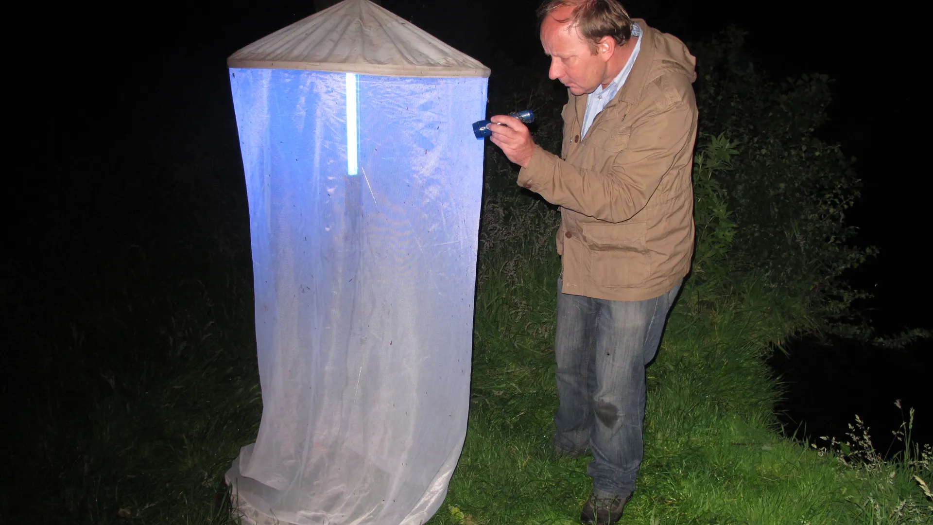 david_lamp_Ankeveen_3jun2014.JPG