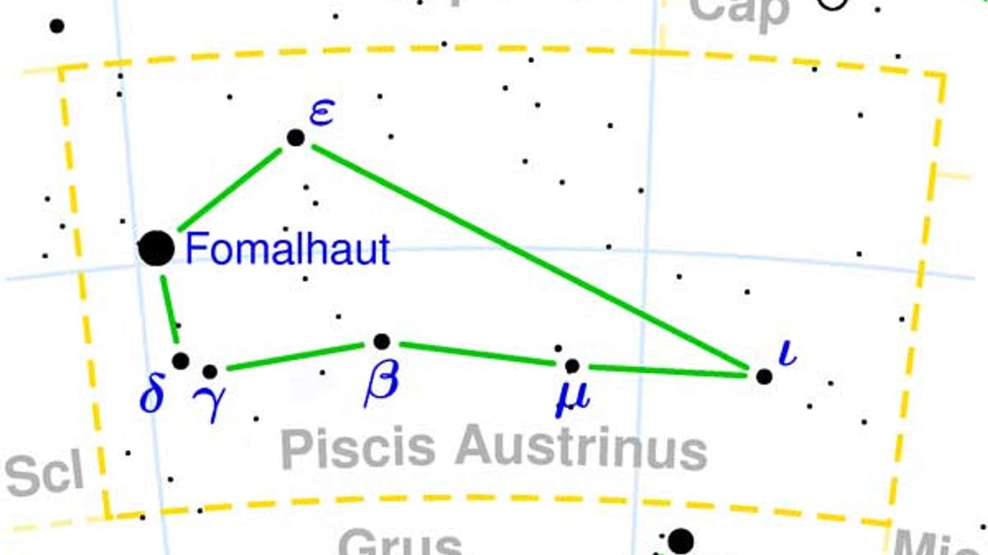 zuidervis.jpg