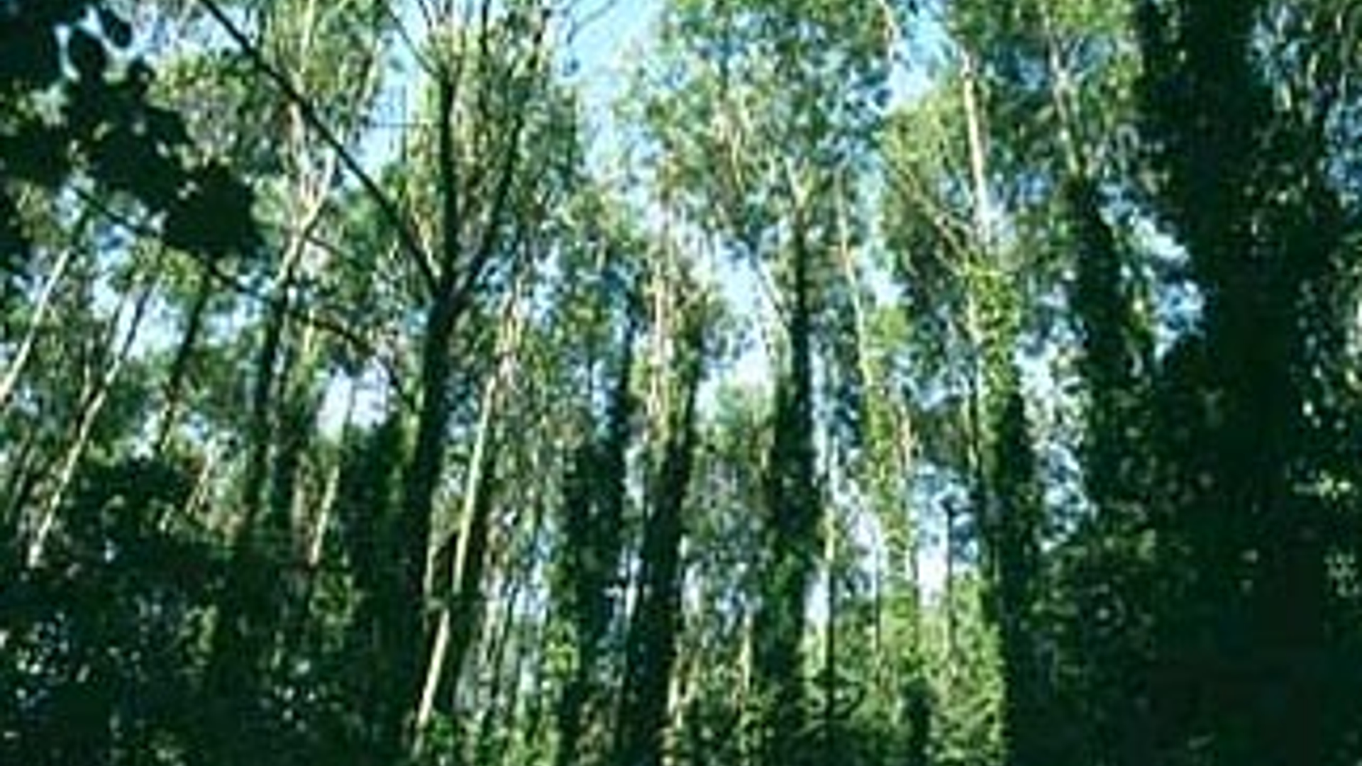 vv_newsimg_306827.jpg