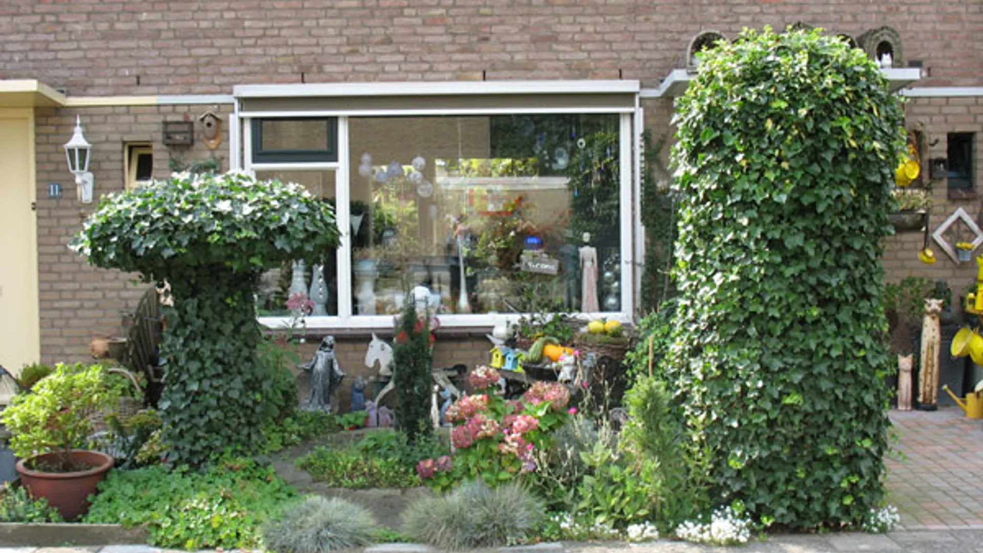 Tuin4.jpg