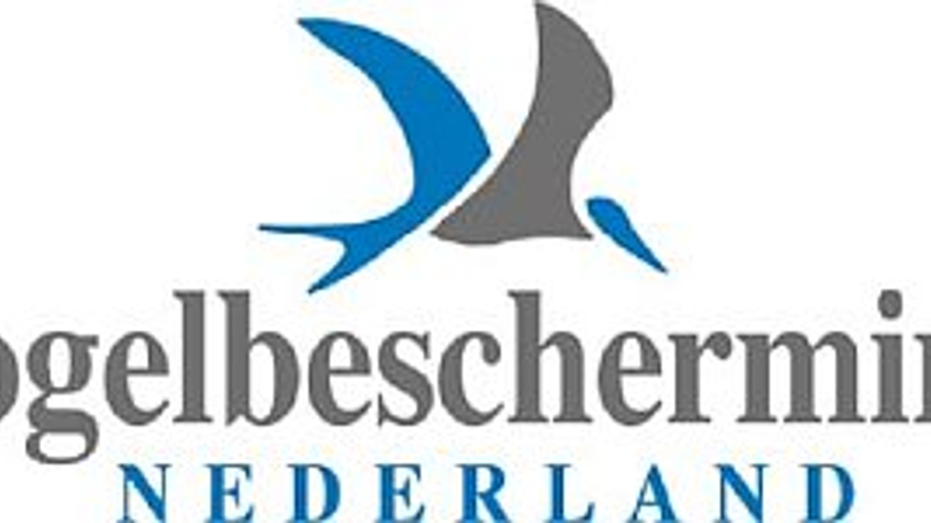 vogelbescherming.jpg