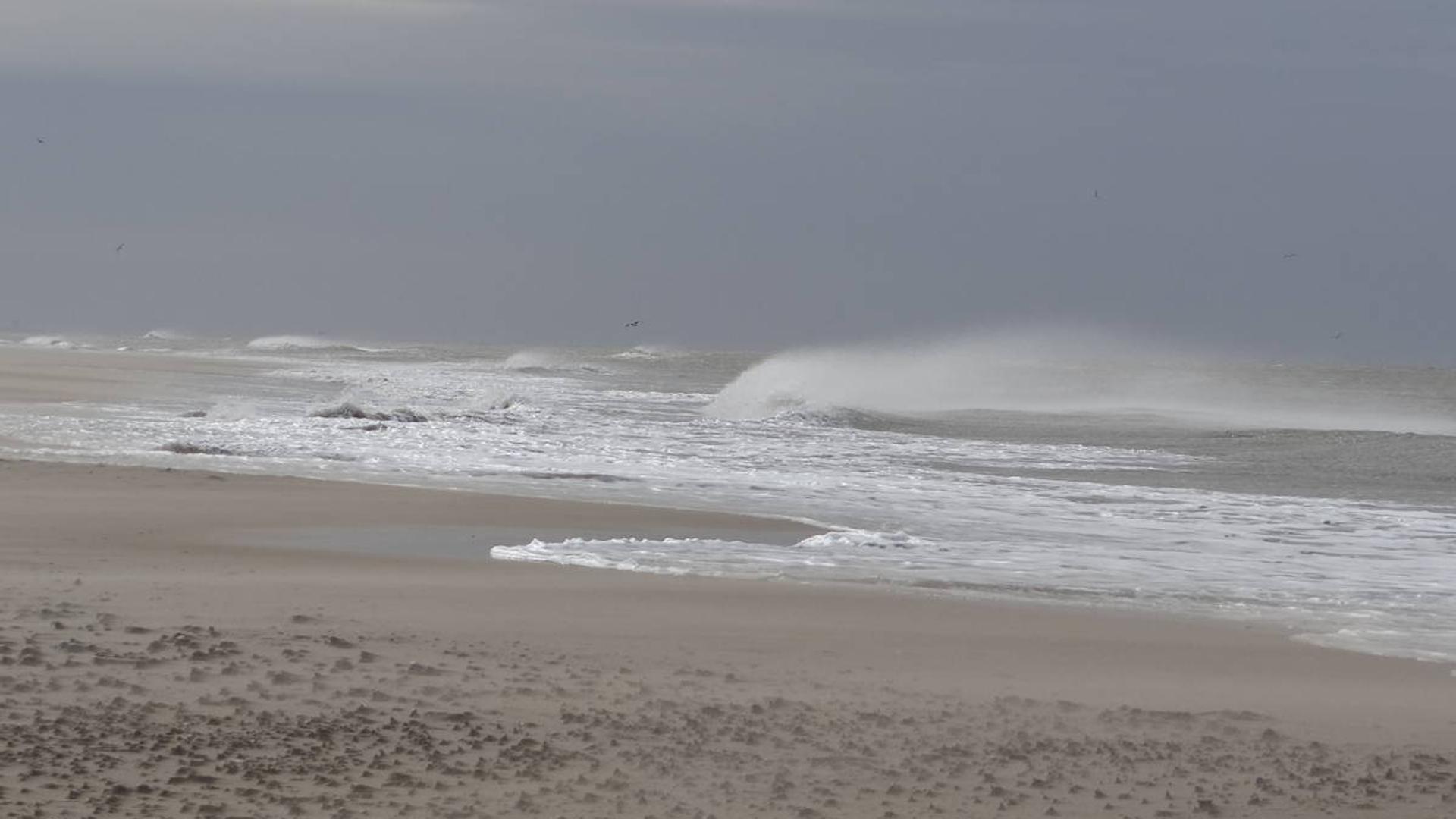 strand_03.jpg