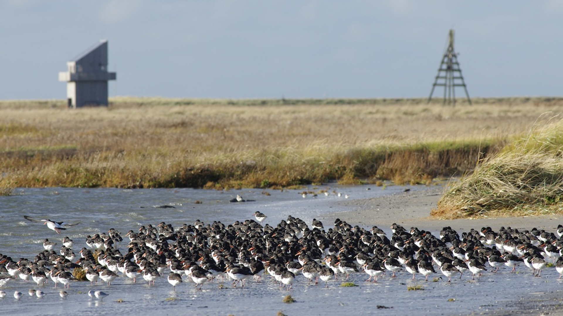 K5II9833 (c) Rob Buiter
