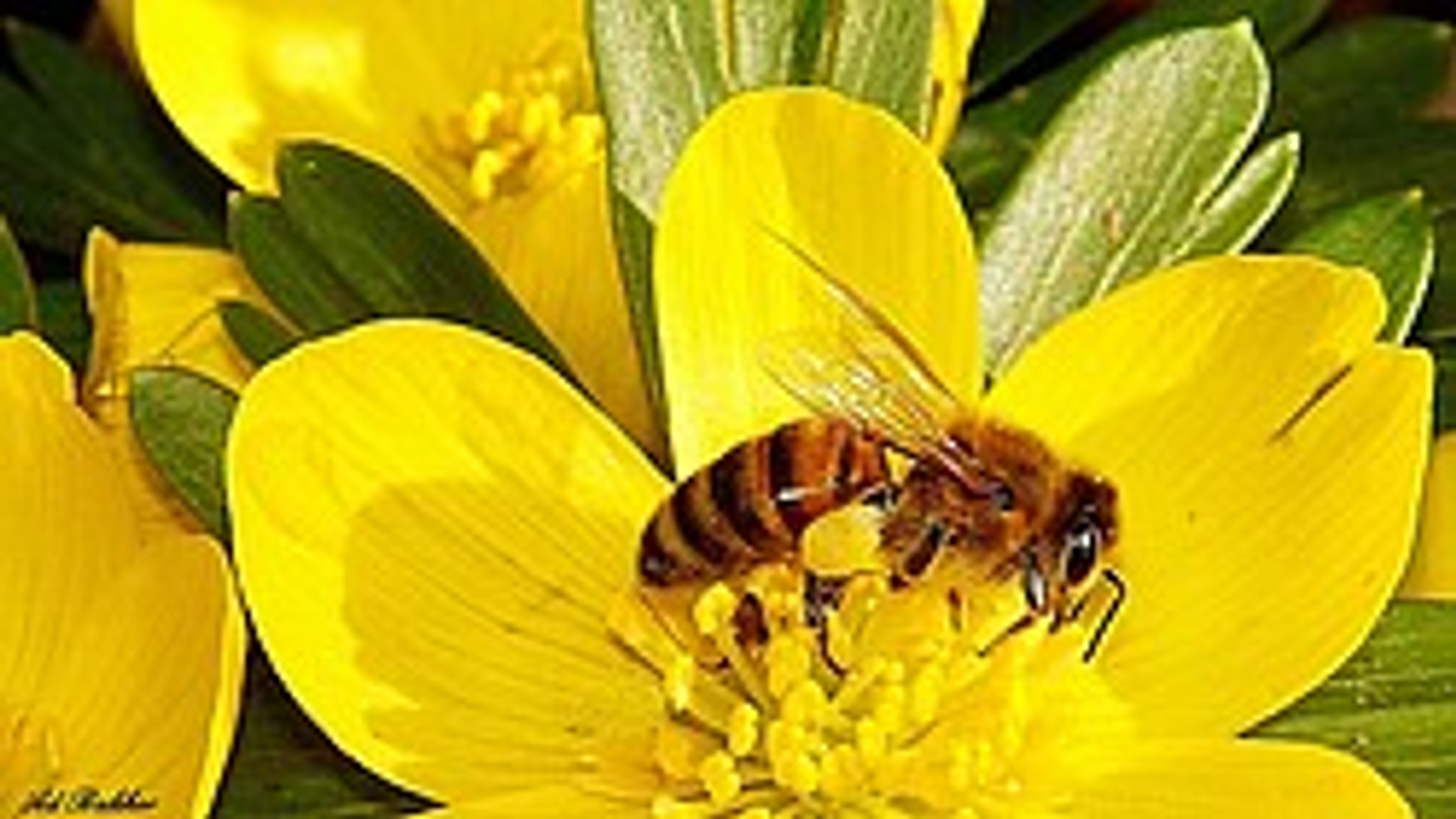 a7bf944043.jpg