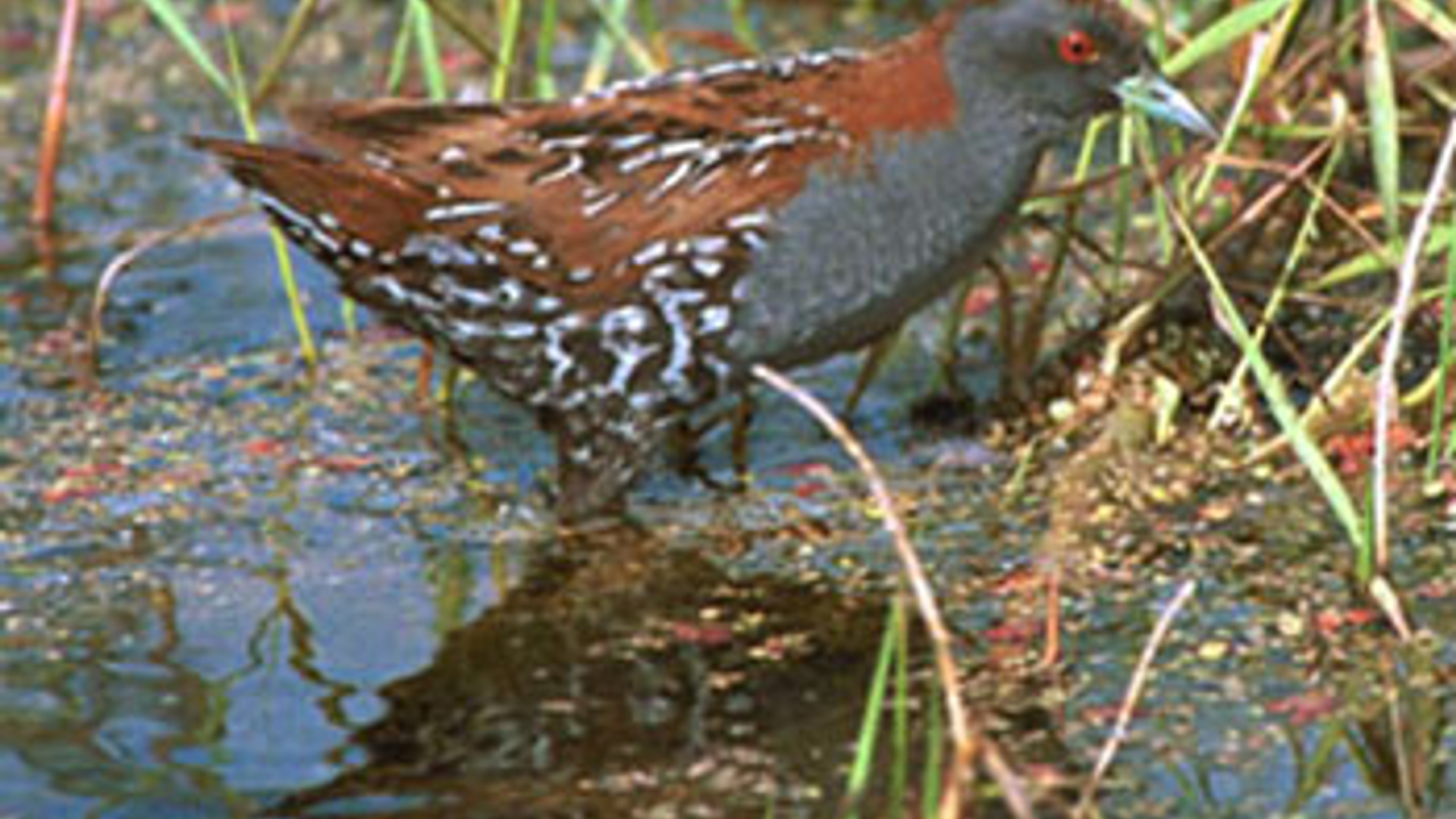 vv_newsimg_123283.jpg