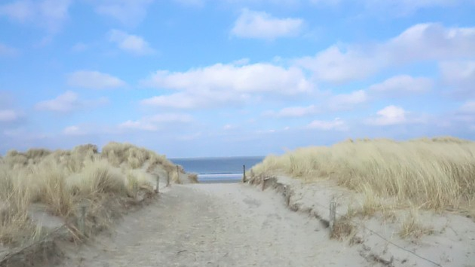 ameland_marjon26.jpg