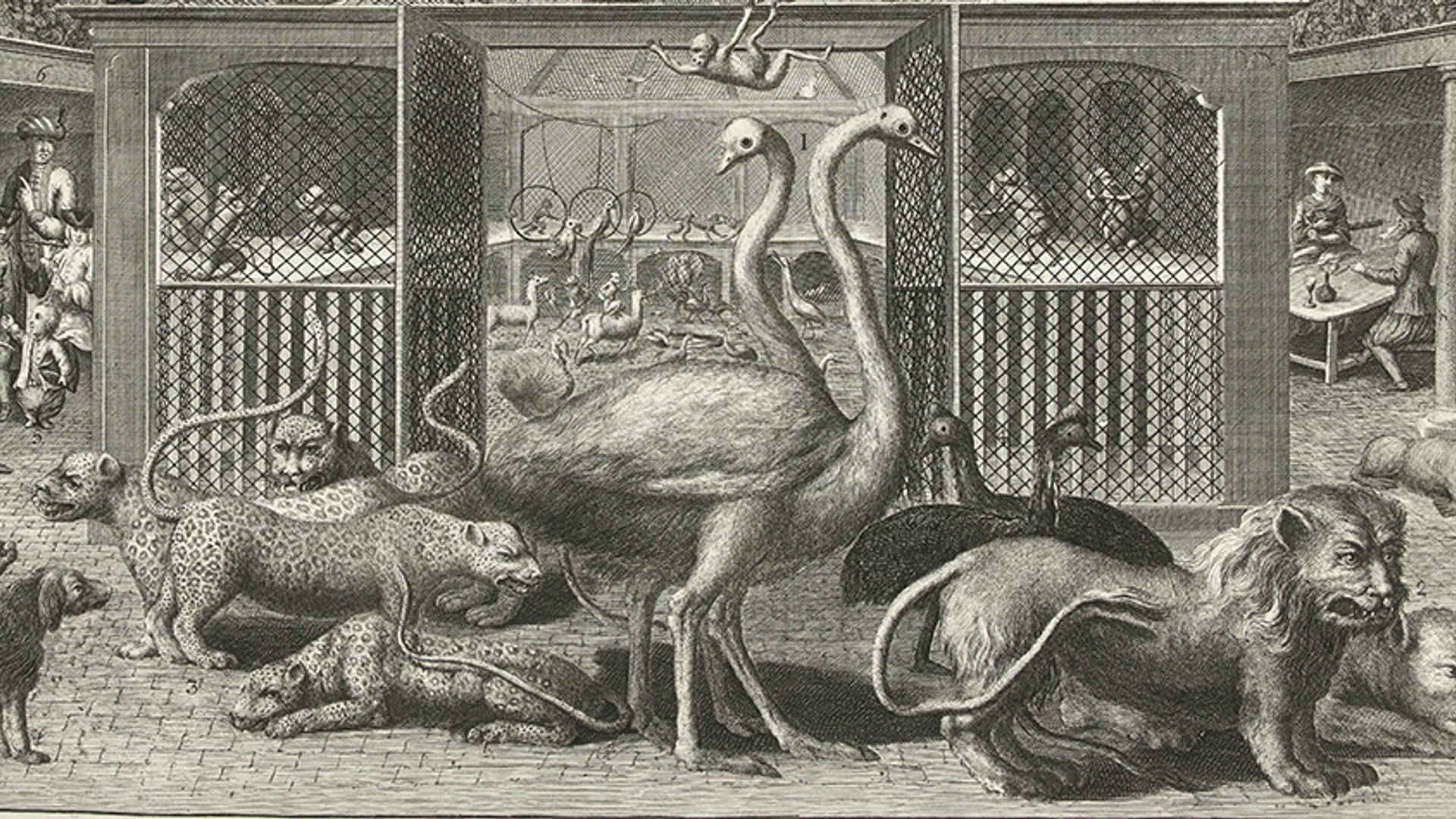 Menagerie van Blaauw Jan - detail