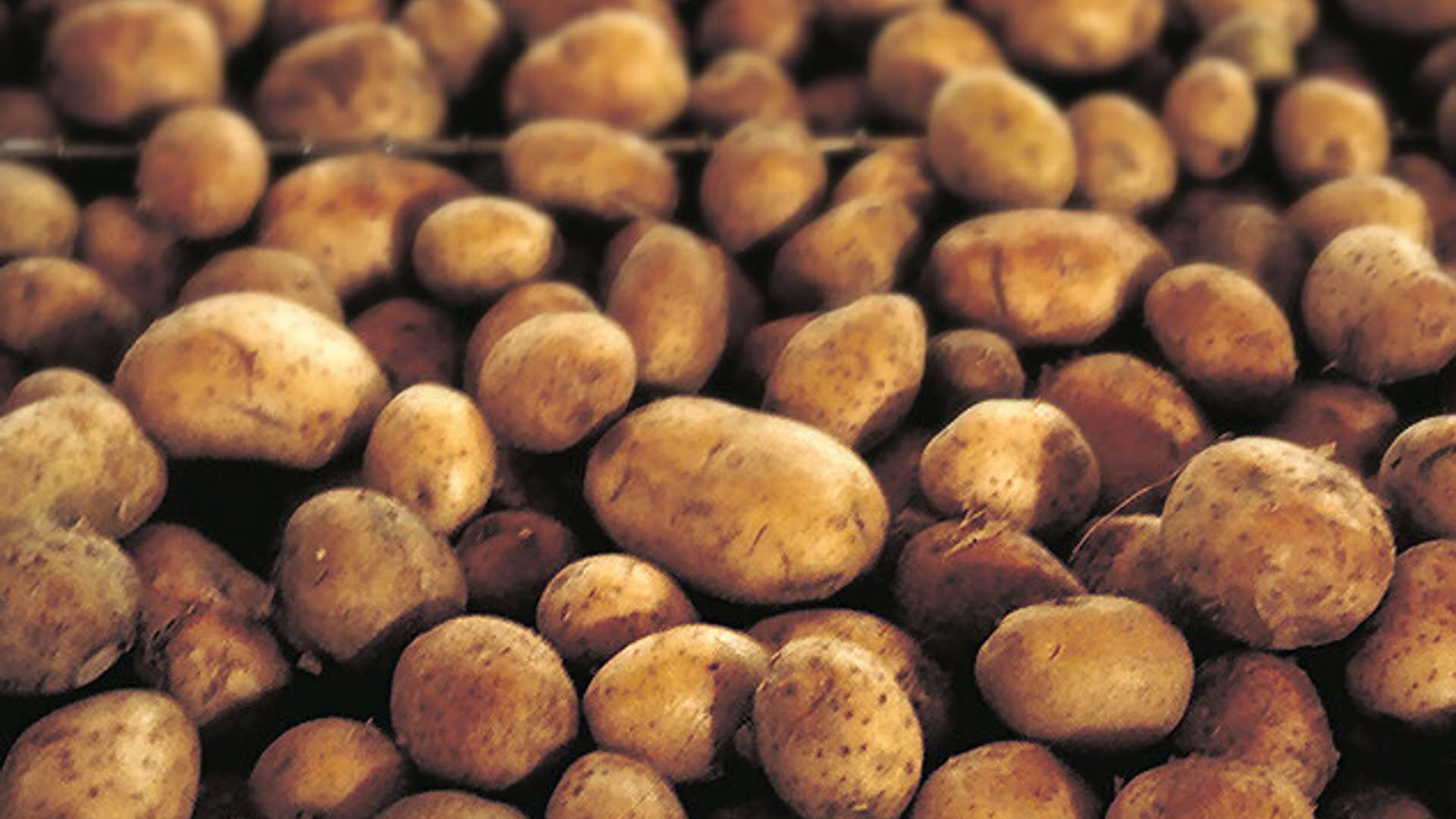 Potatoes_01.jpg