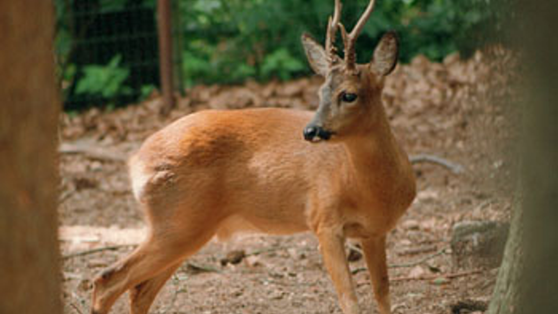 vv_newsimg_312469.jpg