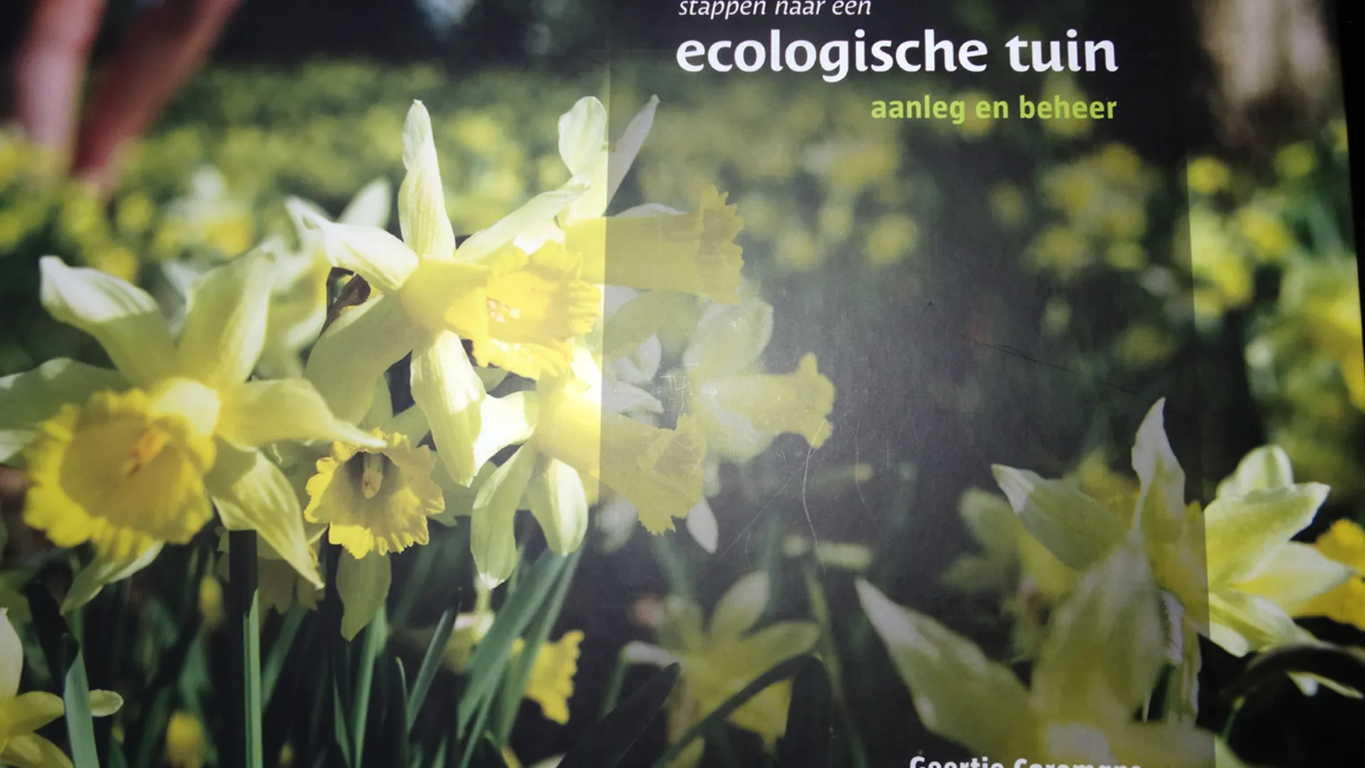 Boek_Velt.jpg