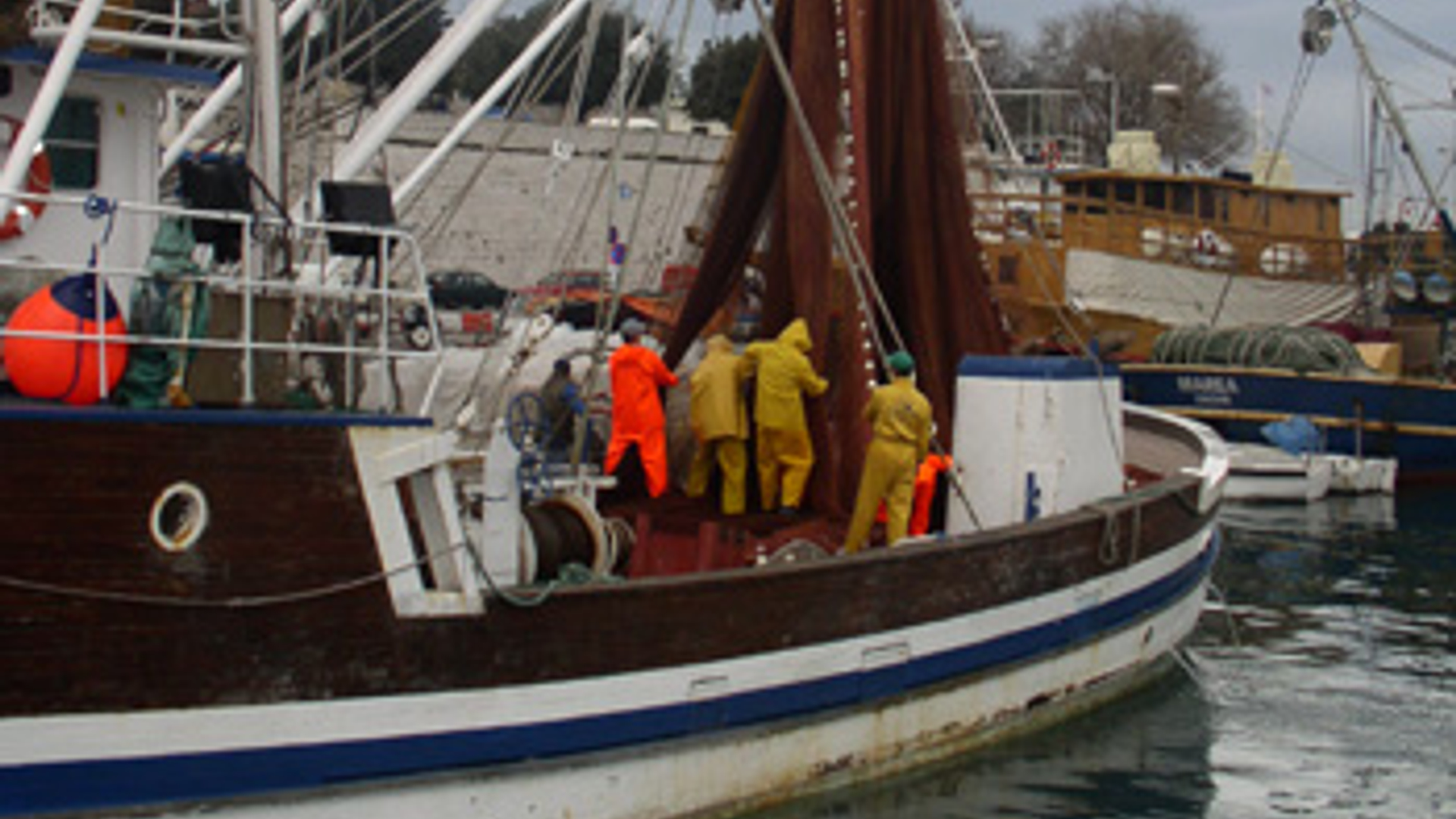 vv_newsimg_336814.jpg