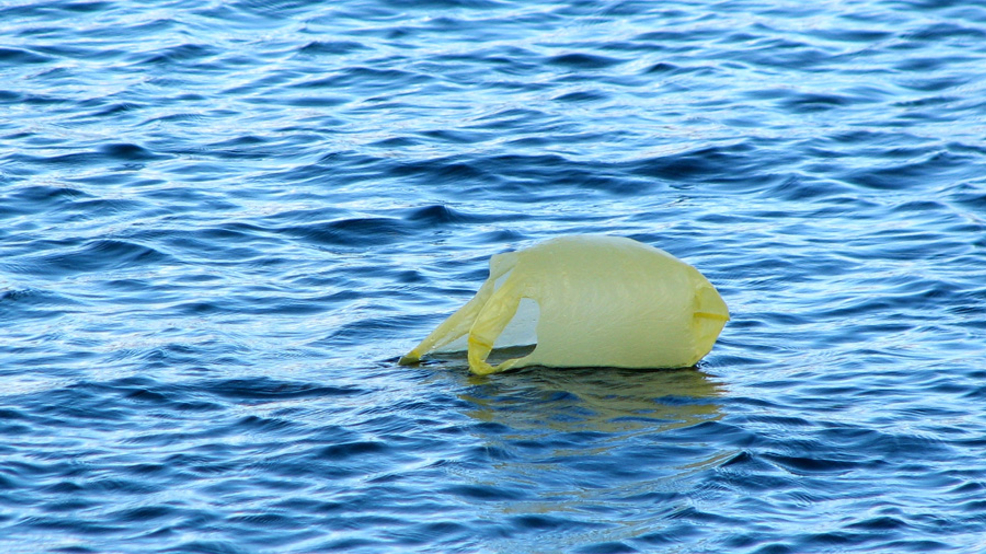 plasticoceaan.jpg