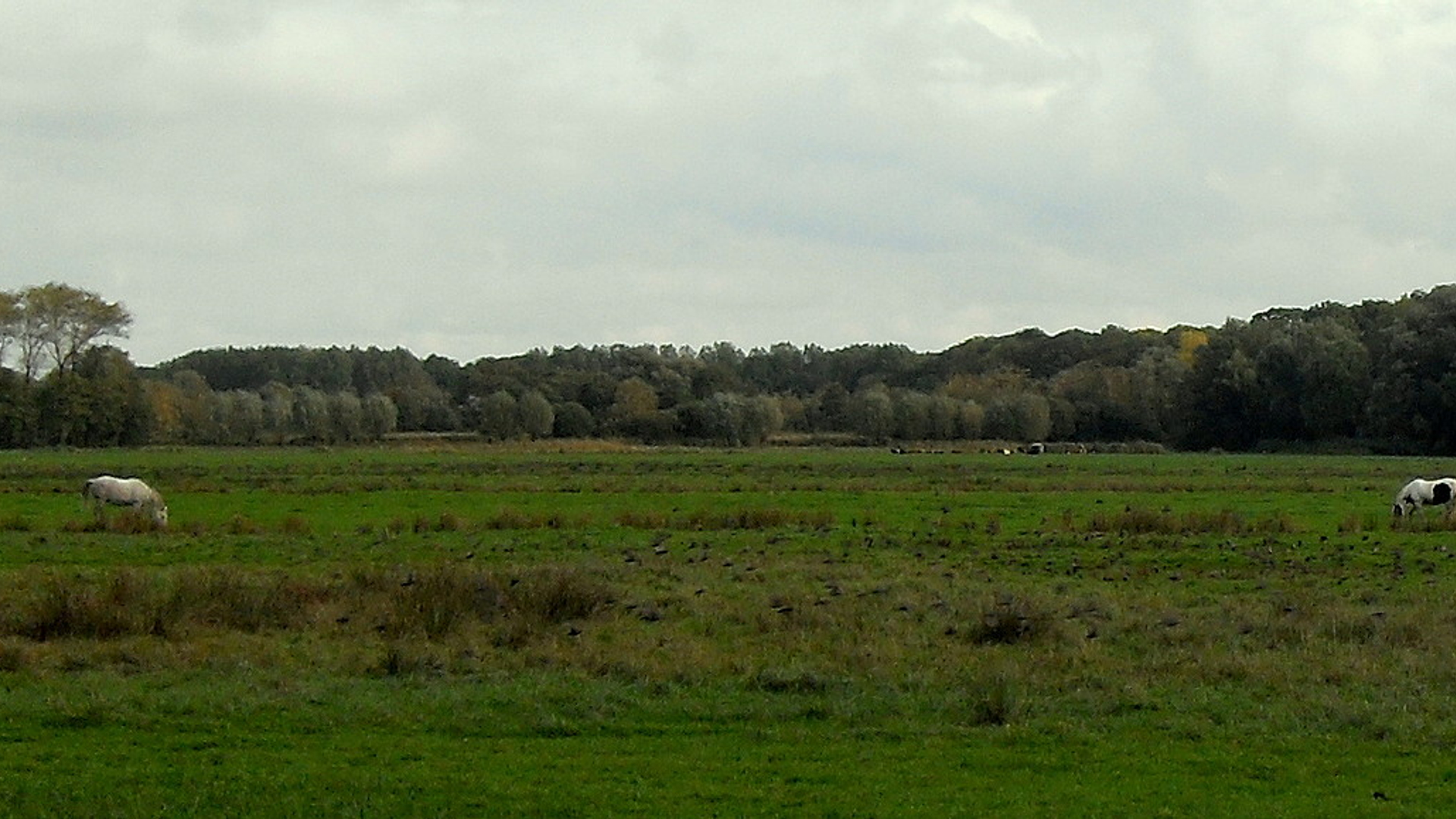 groenindex.jpg