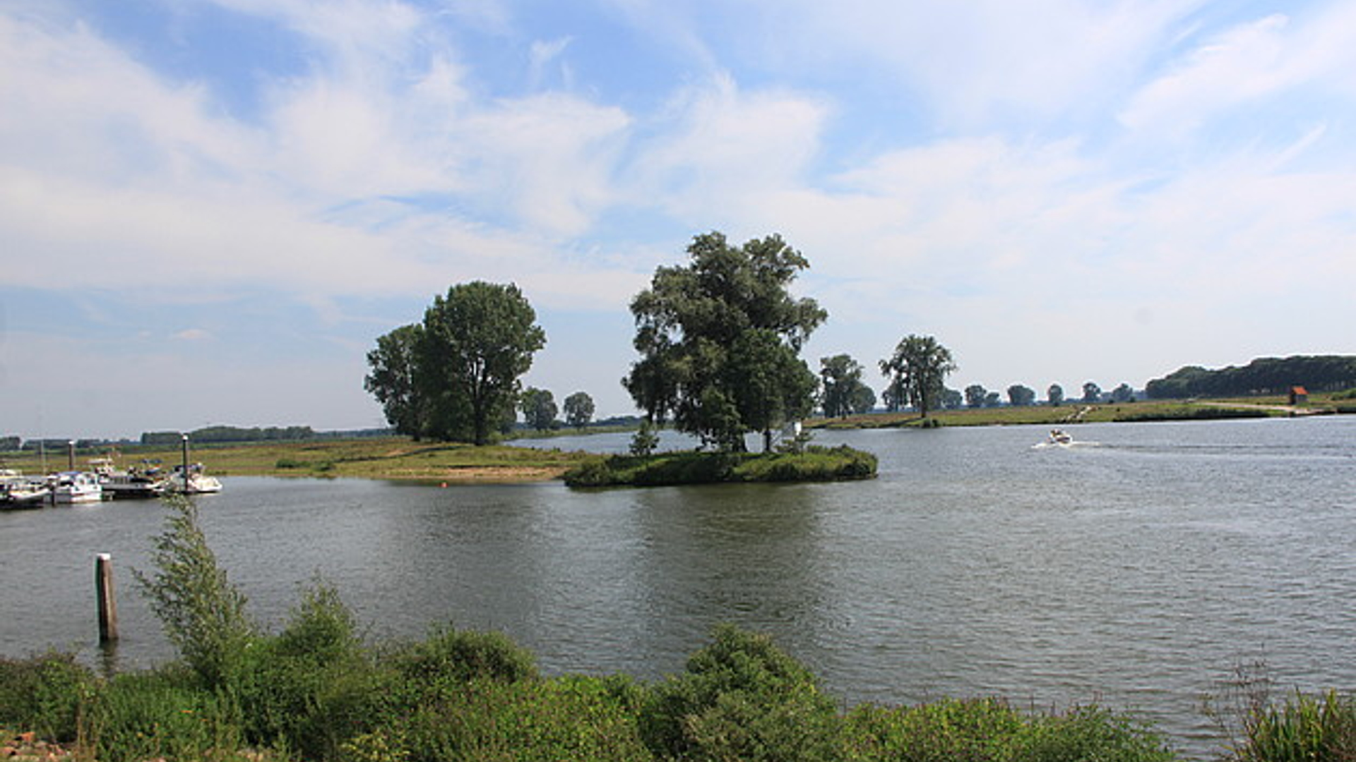 maas_JohanEversFoto.jpg