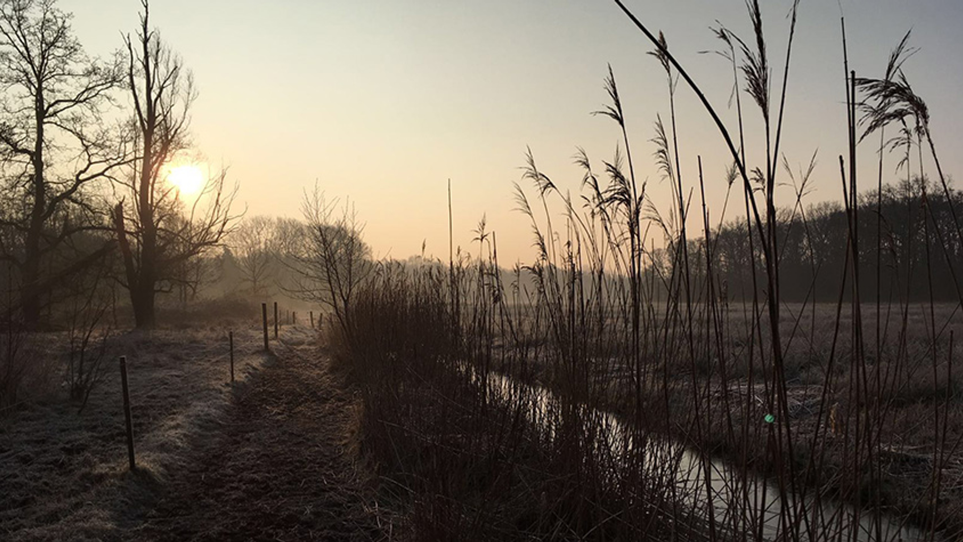 WhatsApp Image 2018-03-13 at 17.09.37