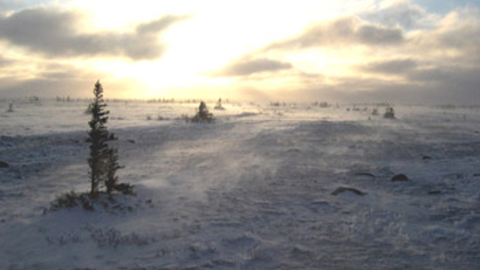 vv_newsimg_129705.jpg