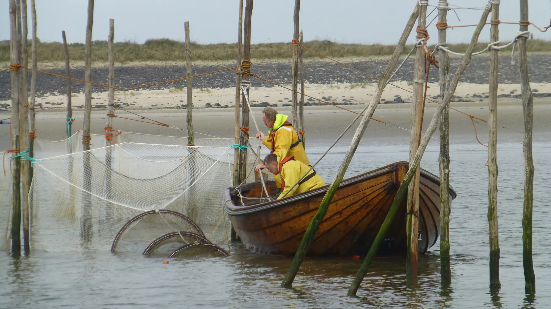 wadden_09.jpg