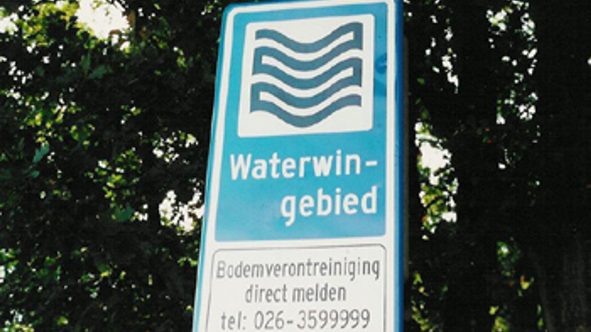 vv_newsimg_341355.jpg