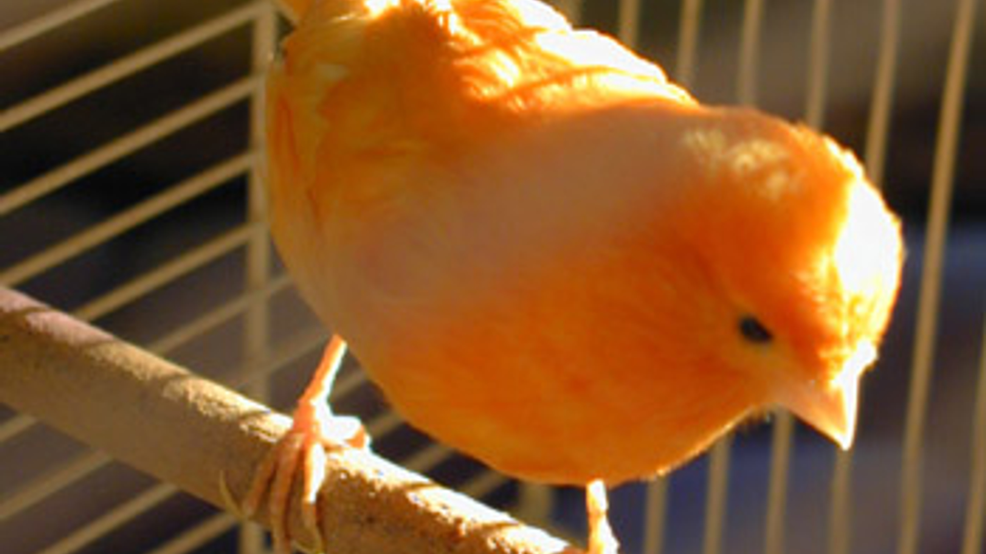 vv_newsimg_335079.jpg