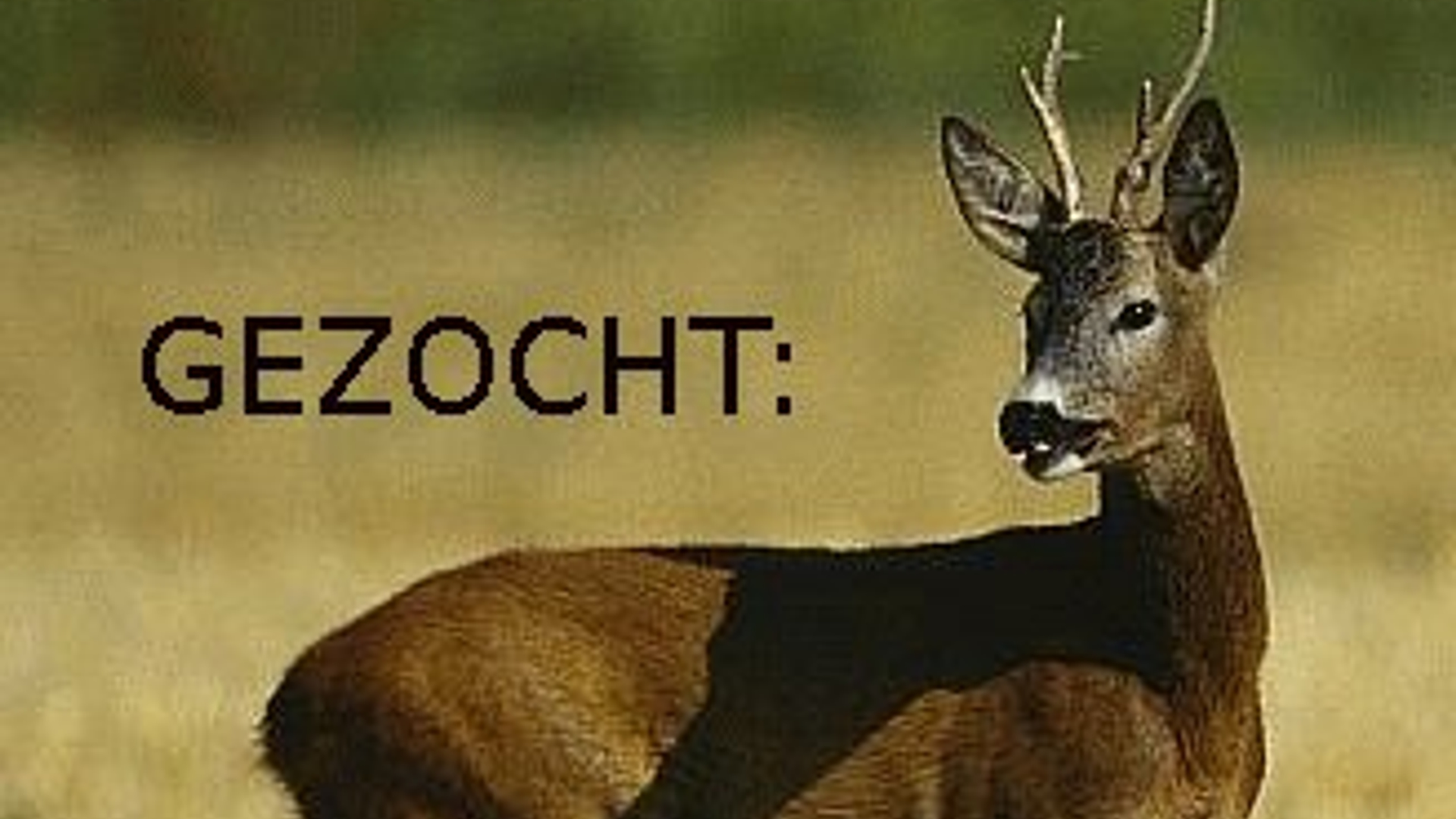 vv_newsimg_196699.jpg