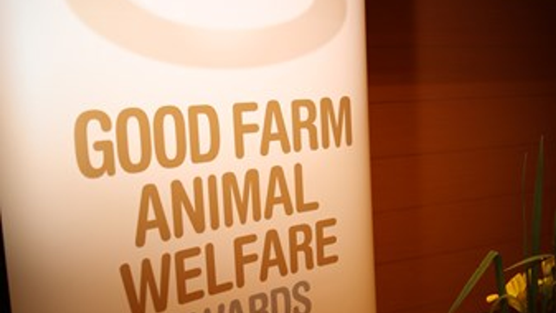 CIWF awards