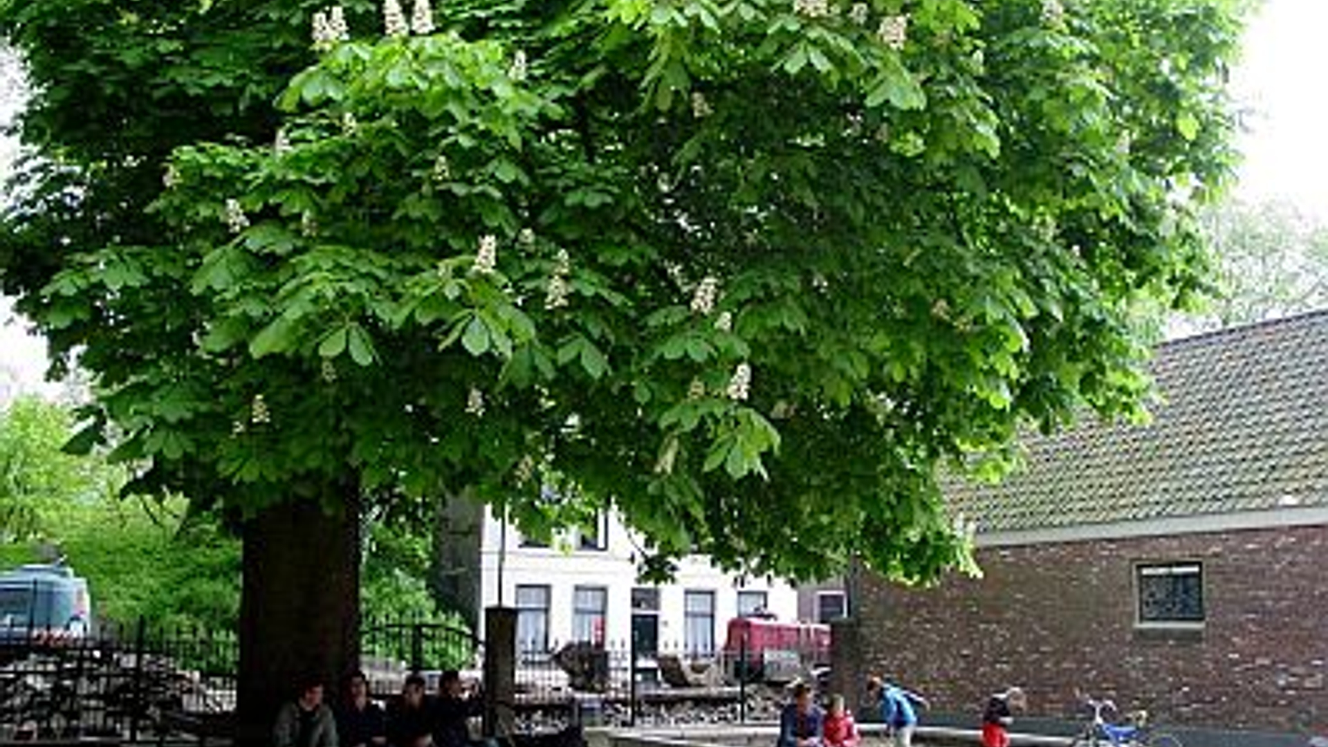 vv_newsimg_147788.jpg