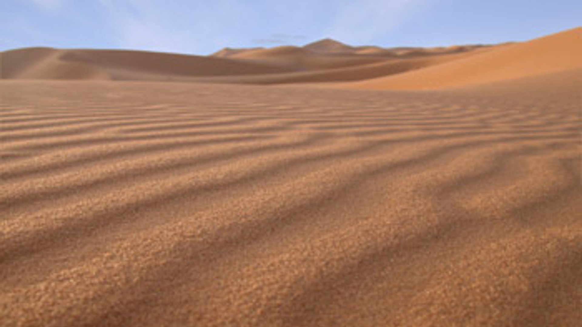vv_newsimg_138839.jpg